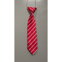 Clarkston Elasticated tie