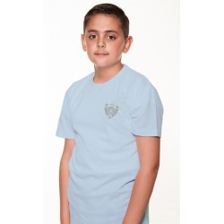 Airdrie Academy PE Tee , (Drumgray)