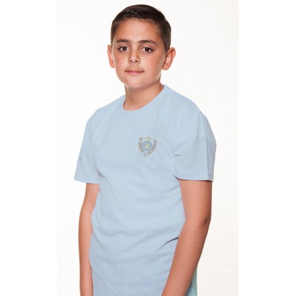 Airdrie Academy PE Tee , (Drumgray)