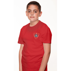 Airdrie Academy PE Tee ‚ (Arden)