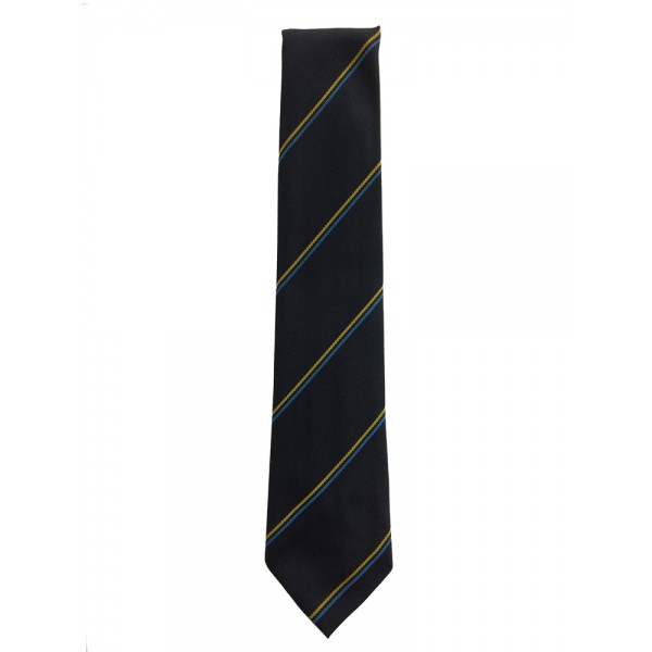 Airdrie Academy 1st to 4th Year Tie