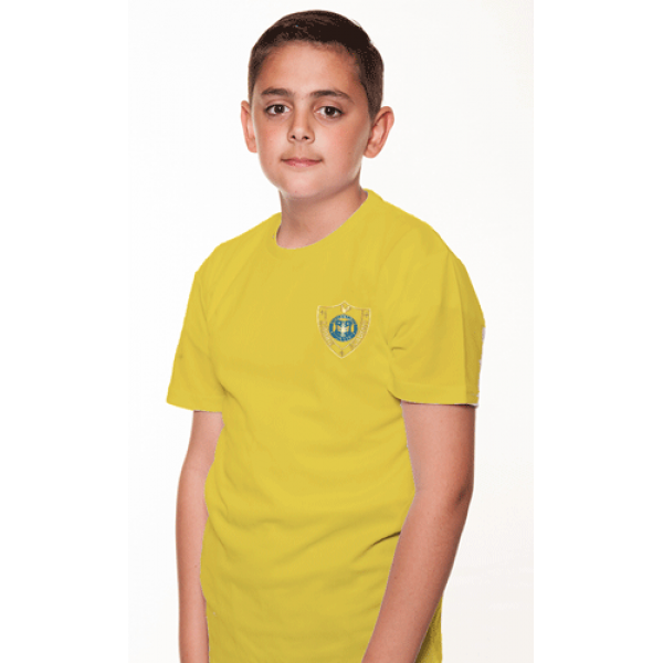 Airdrie Academy PE Tee (Stanrig)