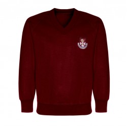 Alloa Academy Boys Vee Jumper