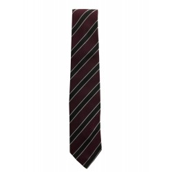 Caldervale 1st to 4th Year Tie