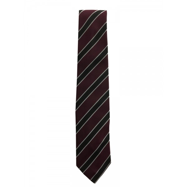 Caldervale 1st to 4th Year Tie