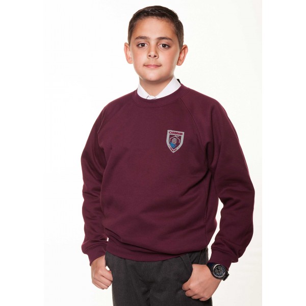 Carbrain Crew Sweatshirt