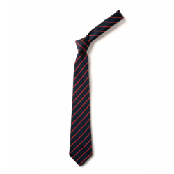 Cathkin Primary Standard Tie