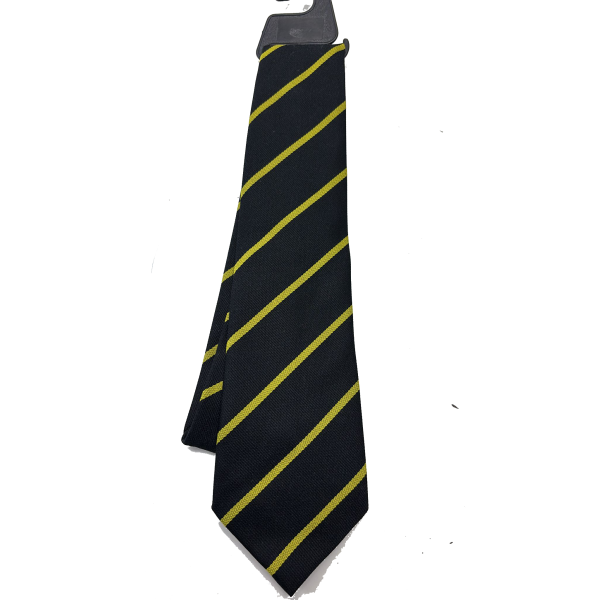 Glenlee Elasticated Tie