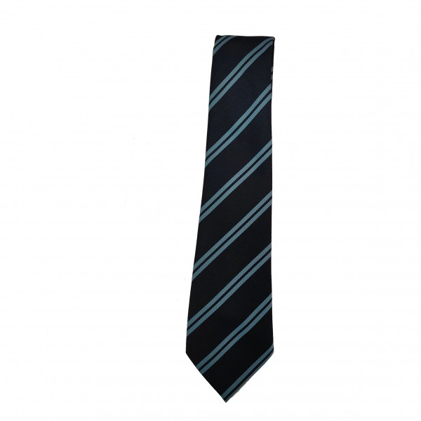 Hallside Standard Tie
