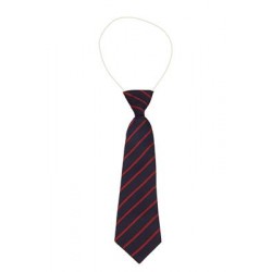 Cathkin Primary Elasticated Tie