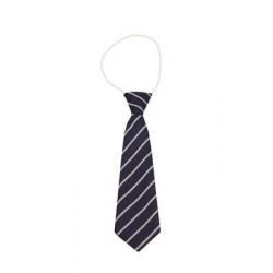 Redwell Elasticated Tie