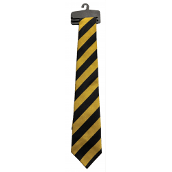 Kilsyth Academy Tie
