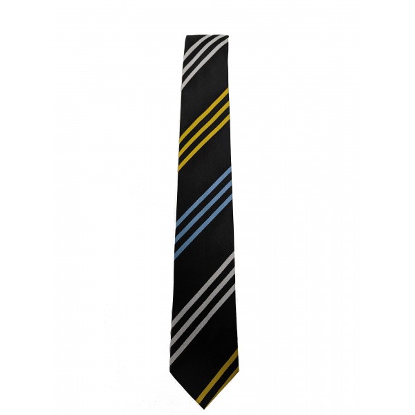 Larkhall Academy Junior Tie