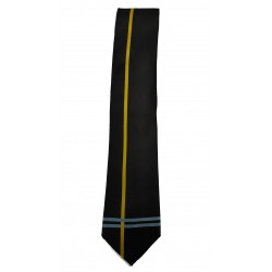 Larkhall Academy Senior Tie