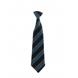 Rochsolloch Elasticated Tie
