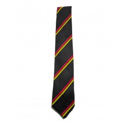 St Ambrose Junior Tie