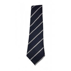 St Marys Primary (Larkhall) Elasticated Tie