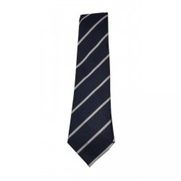 St Marys Primary (Larkhall) Elasticated Tie