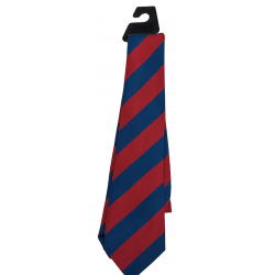Westeroverton Elasticated Tie