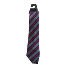 Cumbernauld Primary - P1 to P6 Standard Tie