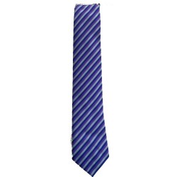 Cumbernauld Primary- P7 Tie