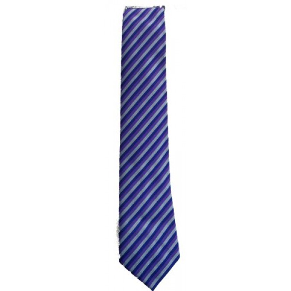 Cumbernauld Primary- P7 Tie