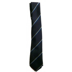 Lornshill Academy- S1-S3 Tie