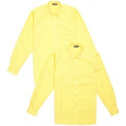 Boys Gold Long Sleeved shirts (Two pack)
