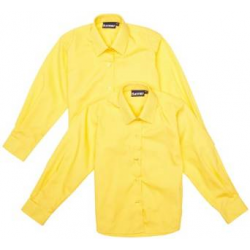 Girls Gold Long Sleeved Shirt (Two Pack)